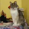 Отзыв от Эльвира Рожкова